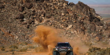 The sting in the tail!