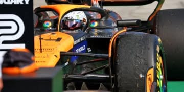 Stella: F1 rivals would’ve handled Hungary team orders like Norris