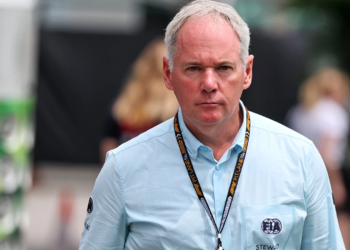 Axed F1 race steward Tim Mayer has hit out at the FIA over the sacking of Janette Tam