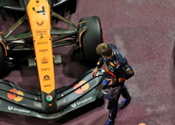 Max Verstappen is certain he would've won the 2024 title in the McLaren