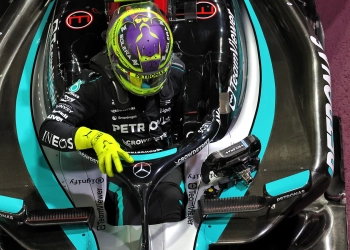 Lewis Hamilton had a turbulent year with the Mercedes W15