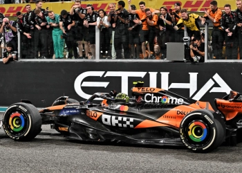 Lando Norris sealed the title for McLaren in Abu Dhabi