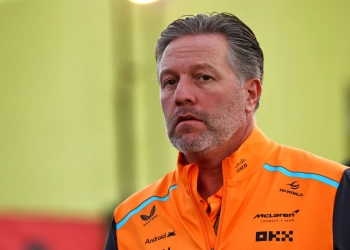Zak Brown believes the current F1 race stewards are not 'set up for success'