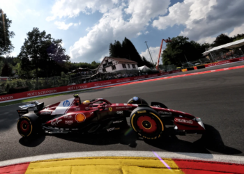 Lewis Hamilton has made an observation over his spin in Belgium