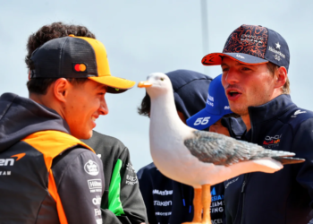 Max Verstappen has given Lando Norris advice on how to deal with his F1 title setback