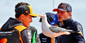 Max Verstappen has given Lando Norris advice on how to deal with his F1 title setback