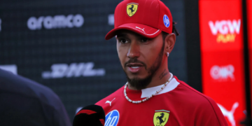 Lewis Hamilton has expressed his gratitude to fans for goodwill messages after the death of his dog Roscoe