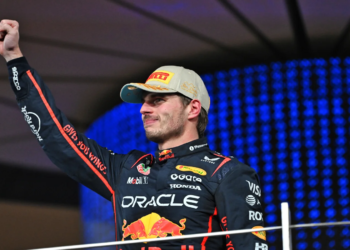 Max Verstappen ended the season with a win in Abu Dhabi