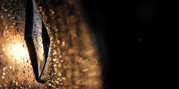 Renault has now withdrawn from F1 as a power unit manufacturer