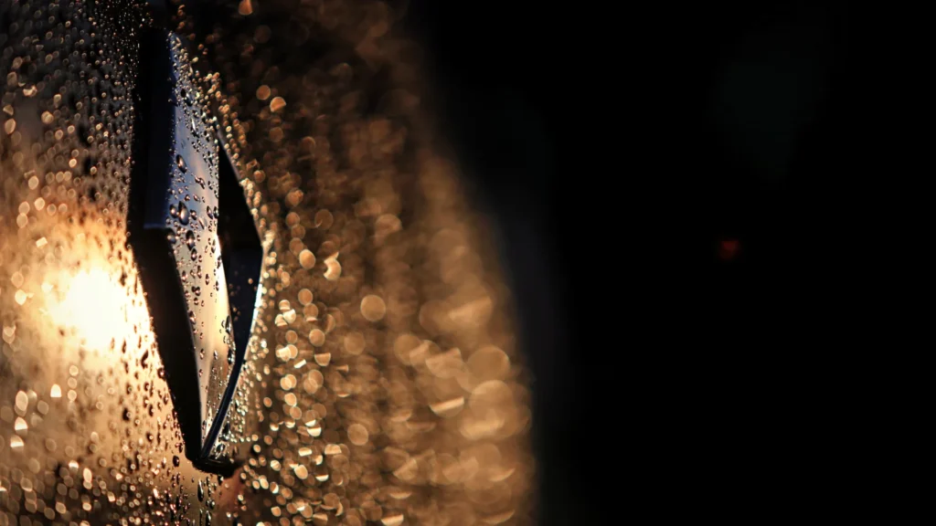 Renault will bow out of F1 after Abu Dhabi.