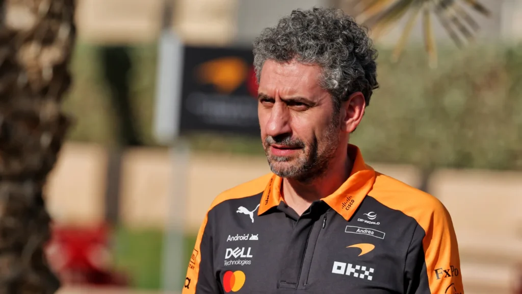 McLaren Team Principal Andrea Stella has made his feelings on the issue clear