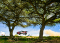 Solberg clings on to Safari Rally lead as Ogier hunts victory