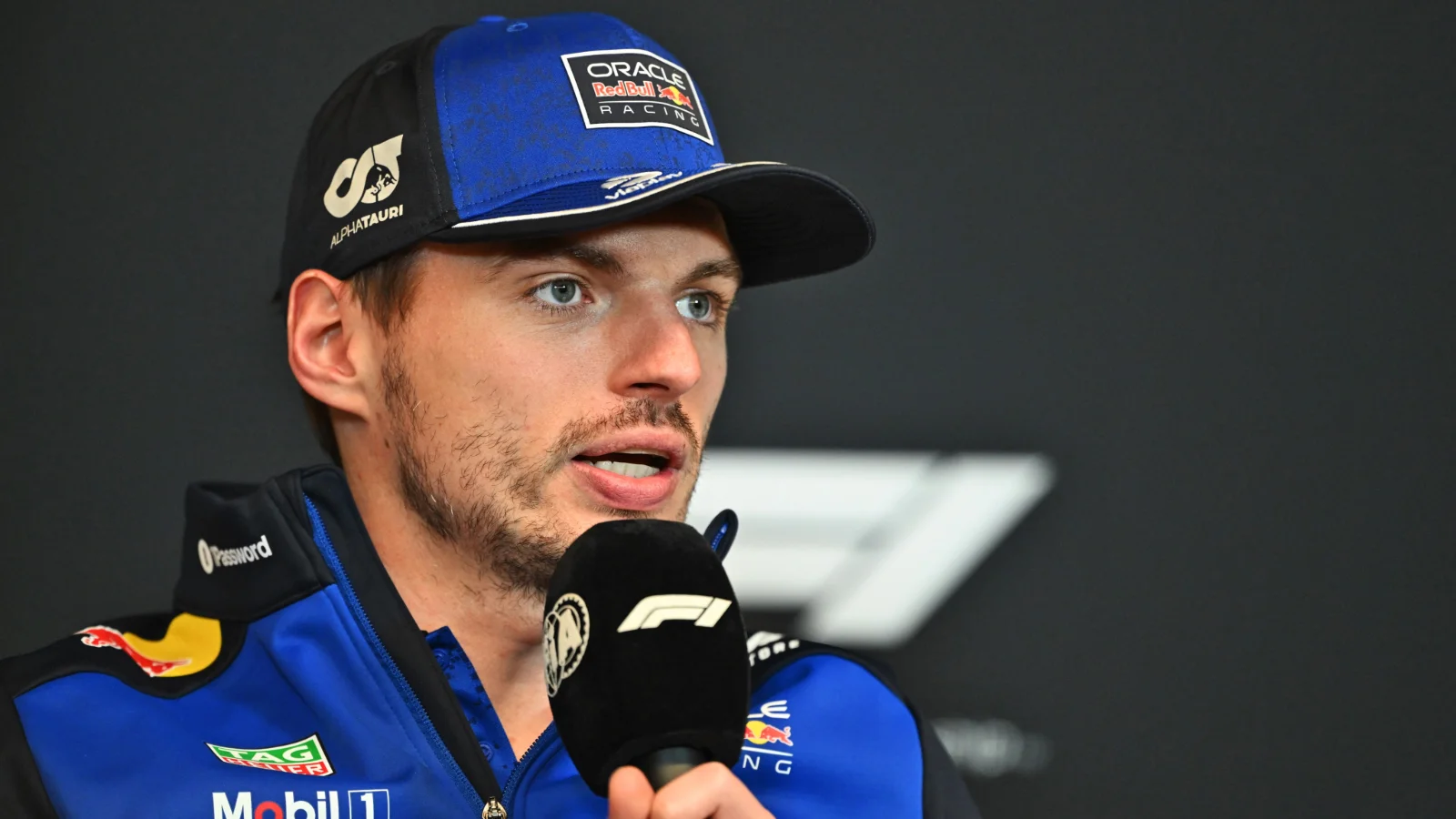 Max Verstappen has continued to wage against the new F1 rules