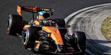 Lando Norris finished fastest in the final practice session before qualifying for the F1 Hungarian GP