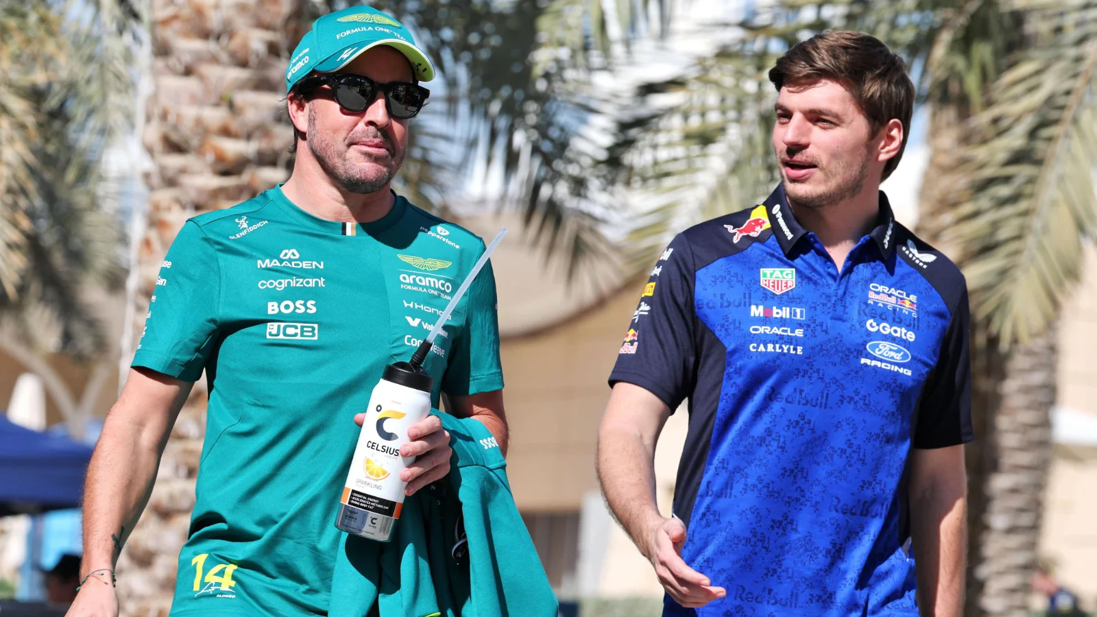 Max Verstappen has weighed in on Fernando Alonso's retirement prospects