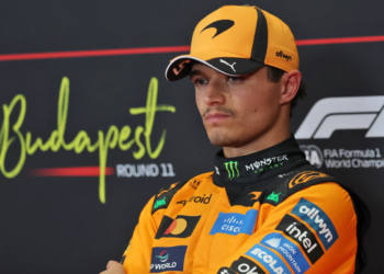 McLaren driver Lando Norris explains Formula 1 regulations