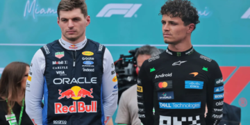 Max Verstappen is not interested in starting a junior single-seater team like Lando Norris