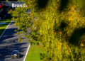Dan Cammish inherits Race 3 Brands Hatch victory as Ricky Collard win stripped
