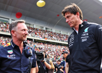 Christian Horner F1 Mercedes 2012